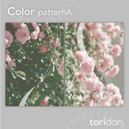 【A5】同人誌表紙素材【0123MY】