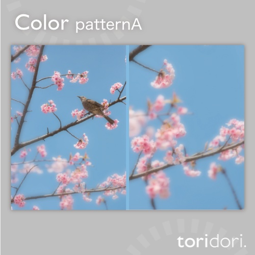 【A5】同人誌表紙素材【0131MY】