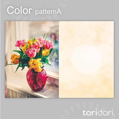 【A5】同人誌表紙素材【0151MY】