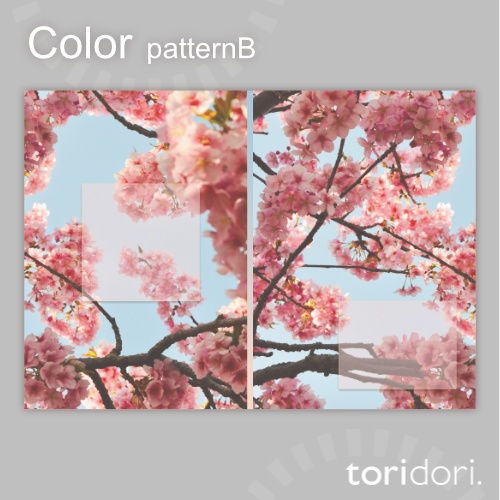 【A5】同人誌表紙素材【0159MY】