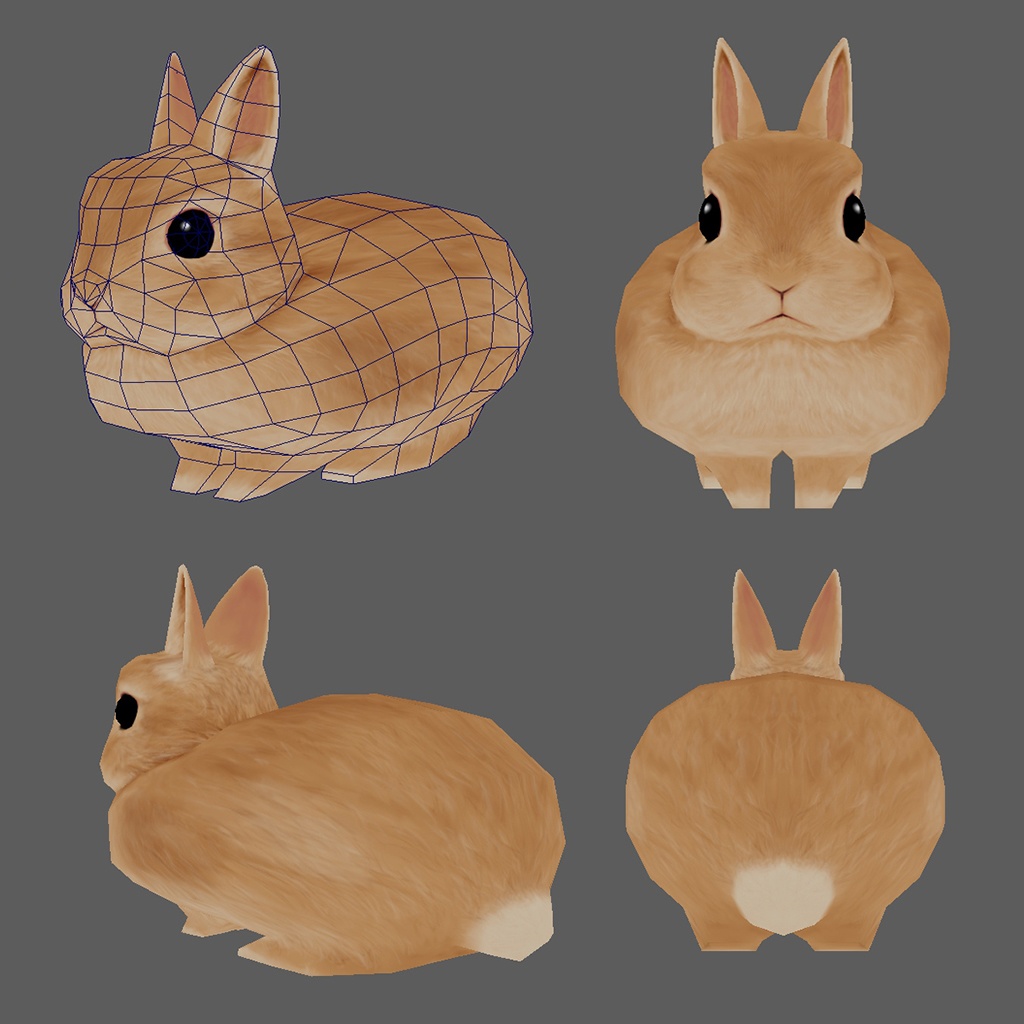うさぎ(ネザーランドドワーフ) 3Dモデル