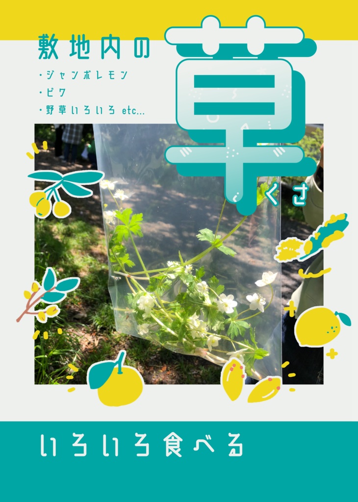 敷地内の草いろいろ食べる