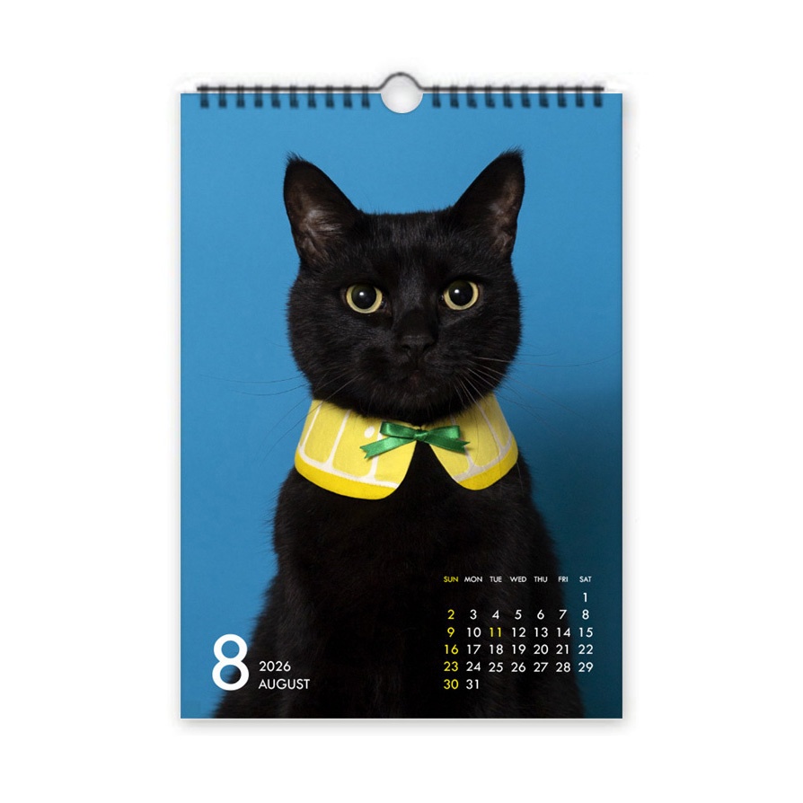 「2026年 黒猫と首輪」 壁掛けカレンダー