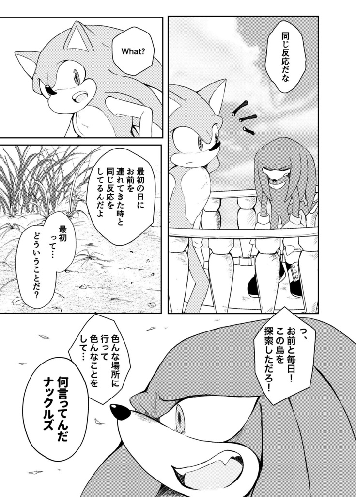 【SONIC】夢現レゾナンス(ソニック×ナックルズ)