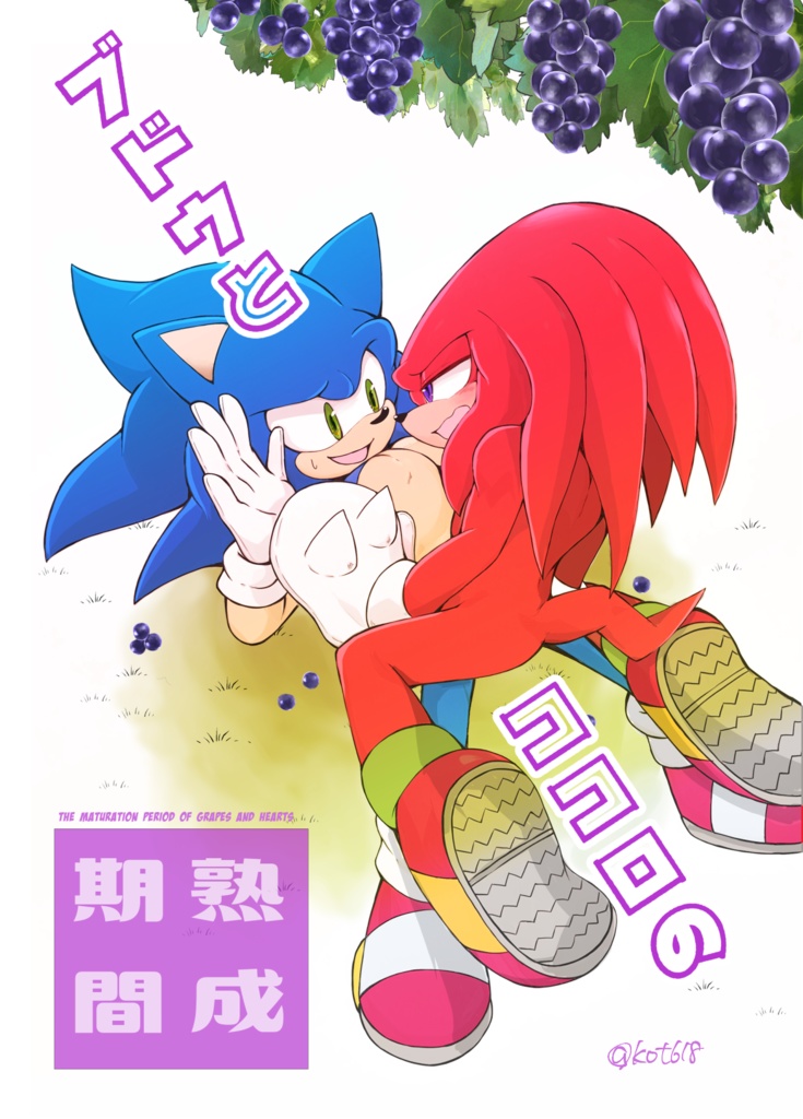 【SONIC】ブドウとココロの熟成期間(ソニック×ナックルズ)