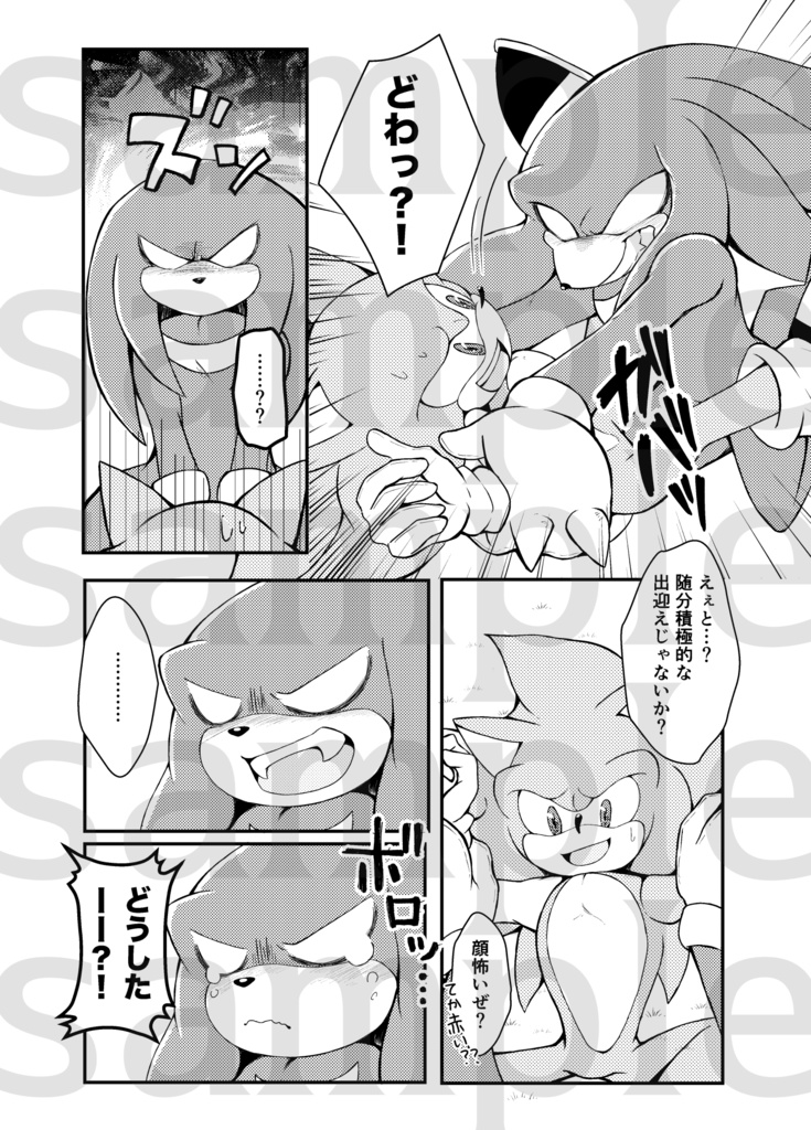 【SONIC】ブドウとココロの熟成期間(ソニック×ナックルズ)