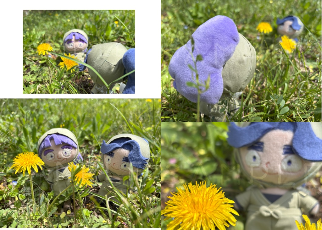 スパコミ三年生せっと