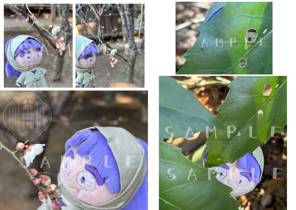 スパコミ三年生せっと