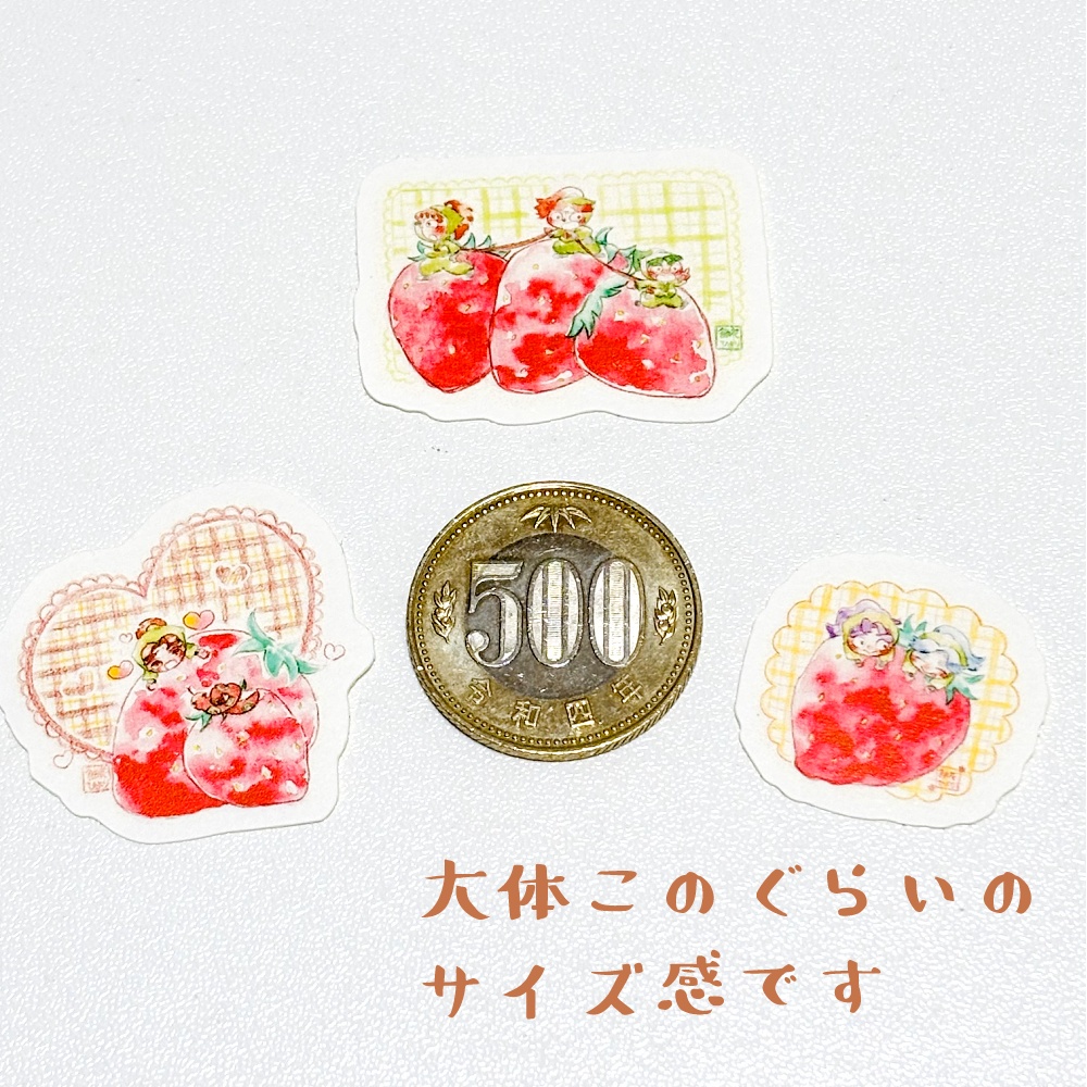 スパコミ三年生せっと