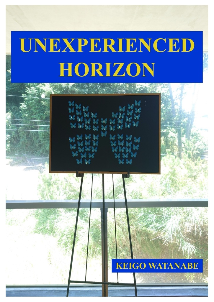 UNEXPERIENCED HORIZON