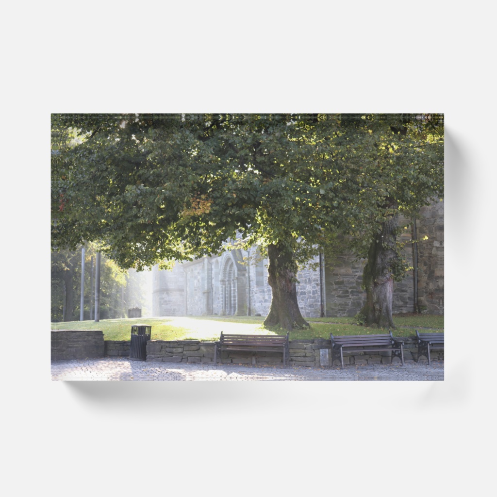 アクリルブロック 木漏れ日