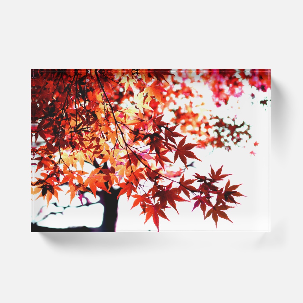 アクリルブロック 紅葉-もみじ-