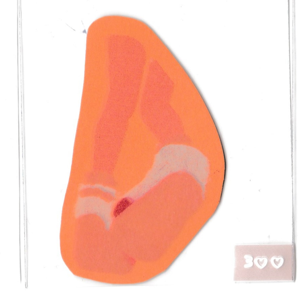 リソステッカーうわばき靴底