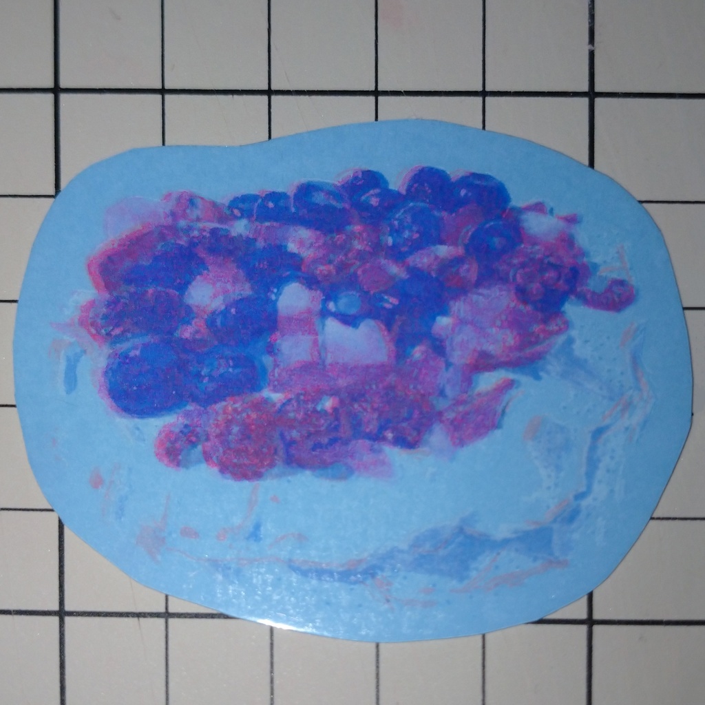 リソステッカー ケーキ