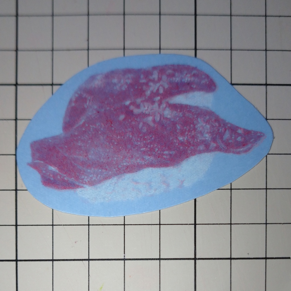 リソステッカー まぐろすし