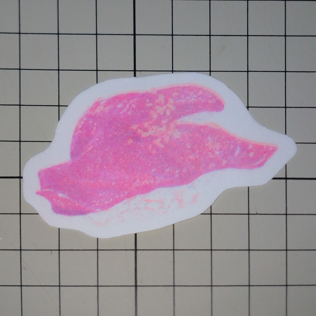 リソステッカー まぐろすし