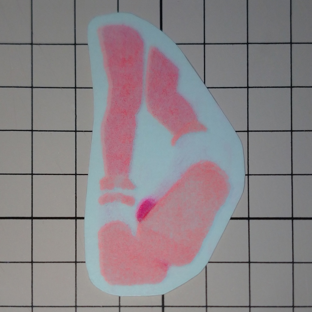 リソステッカー  うわばき