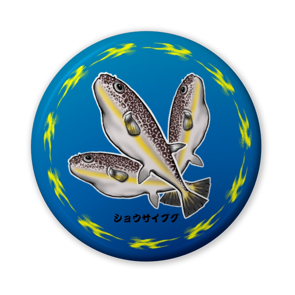 缶バッチ ～ショウサイフグ 3匹～