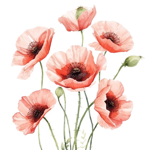 水彩風・ピンクのお花クリップアート10種類セット