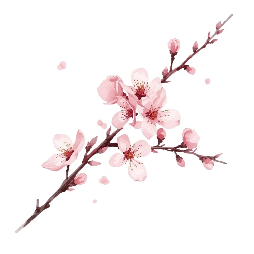 水彩風・ピンクのお花クリップアート10種類セット