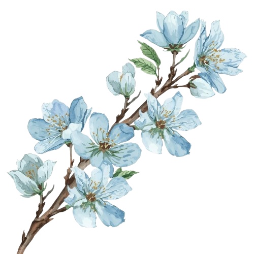 水彩風・水色のお花クリップアート 12種類セット