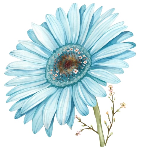 水彩風・水色のお花クリップアート 12種類セット