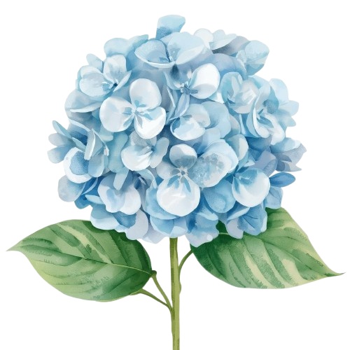 水彩風・水色のお花クリップアート 12種類セット