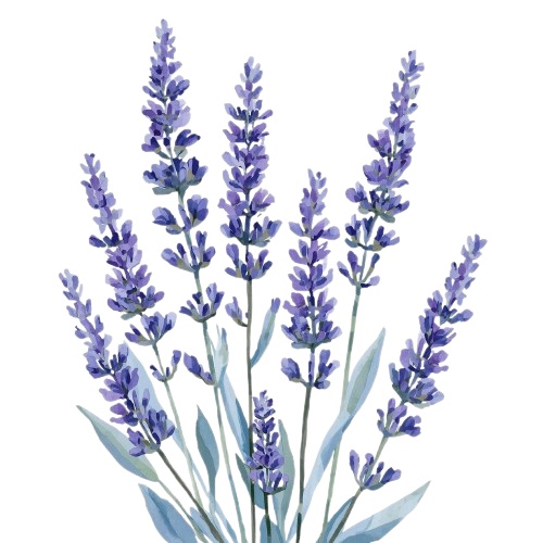 水彩風・水色のお花クリップアート 12種類セット