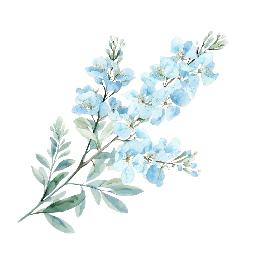 水彩風・水色のお花クリップアート 12種類セット