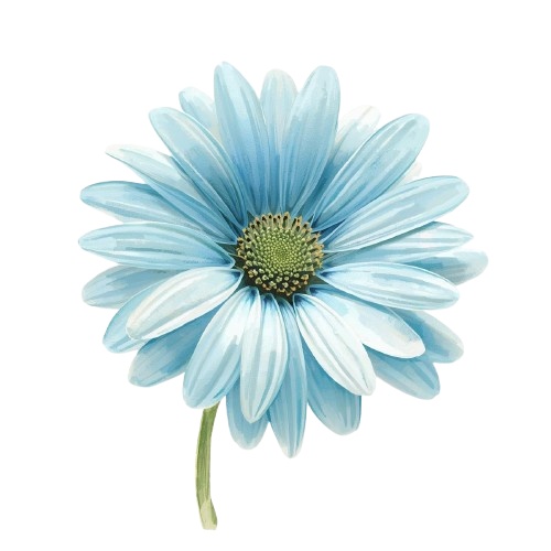 水彩風・水色のお花クリップアート 12種類セット