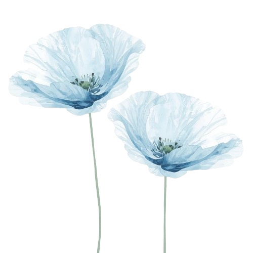 水彩風・水色のお花クリップアート 12種類セット