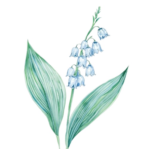 水彩風・水色のお花クリップアート 12種類セット