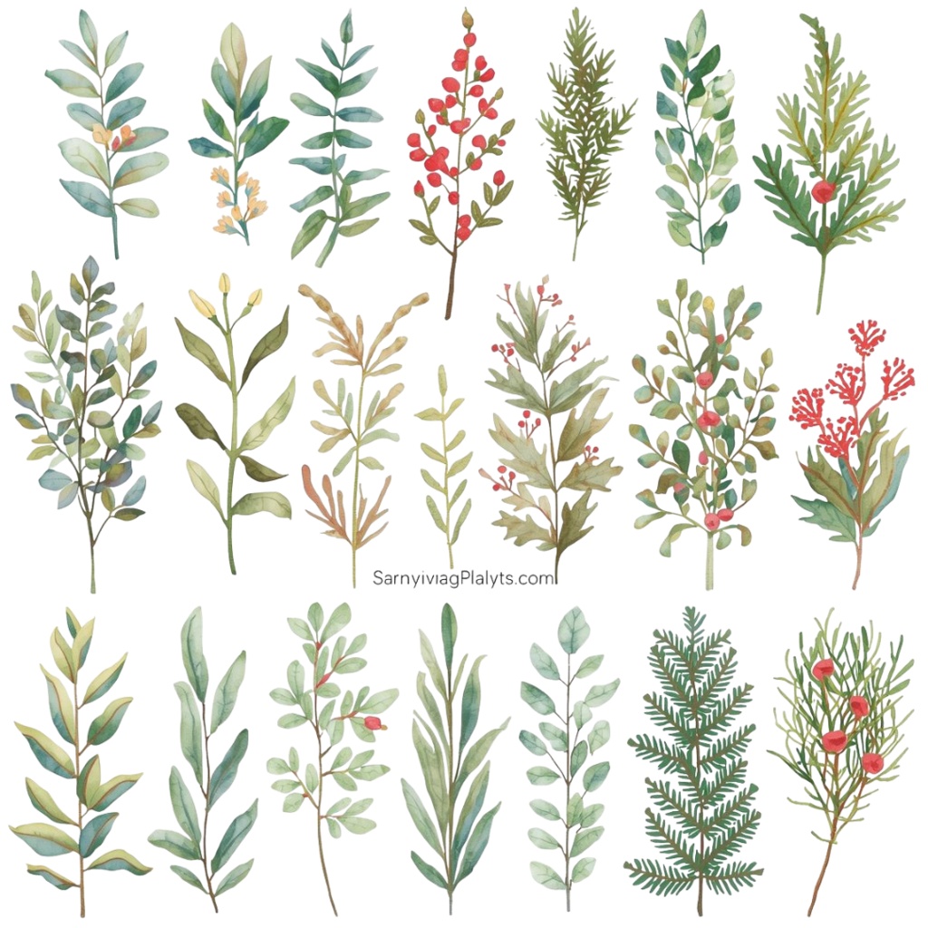 水彩画風 クリスマスボタニカル クリップアートセット|全14種|背景透過|Canva AI制作|おしゃれな冬の植物素材集(PDFダウンロード)