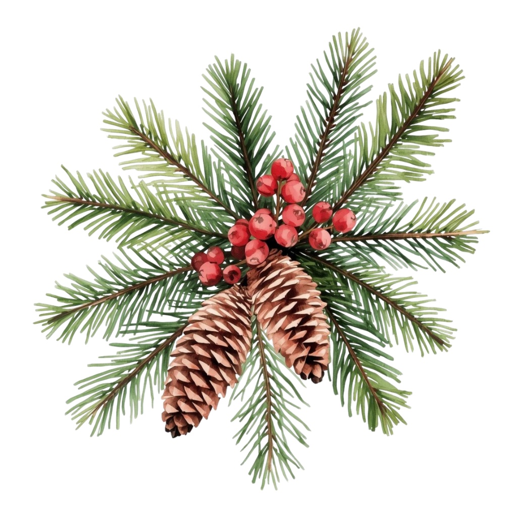 水彩画風 クリスマスボタニカル クリップアートセット|全14種|背景透過|Canva AI制作|おしゃれな冬の植物素材集(PDFダウンロード)