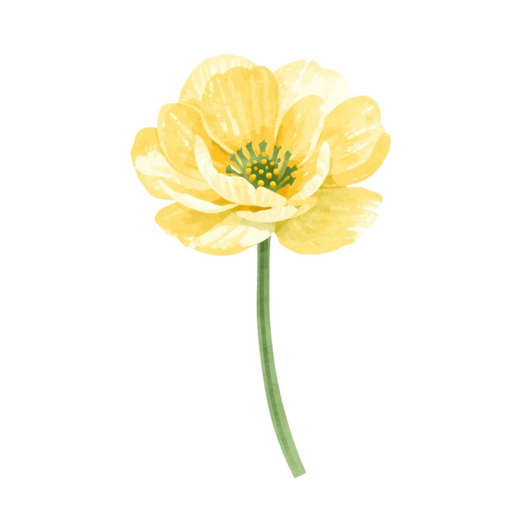 〈黄色いお花 水彩クリップアート〉20点セット/背景透過/CanvaAI生成/PDF