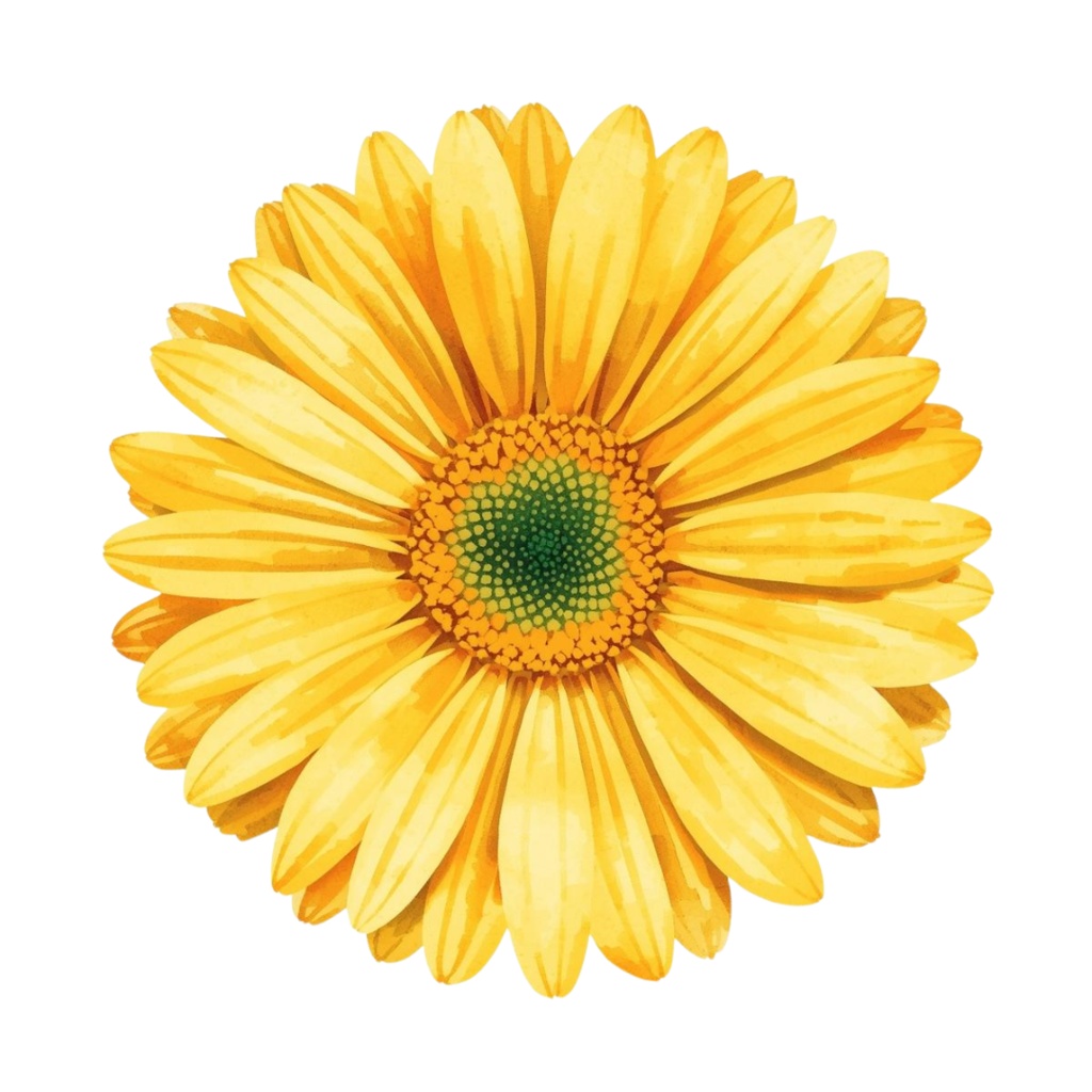 〈黄色いお花 水彩クリップアート〉20点セット/背景透過/CanvaAI生成/PDF