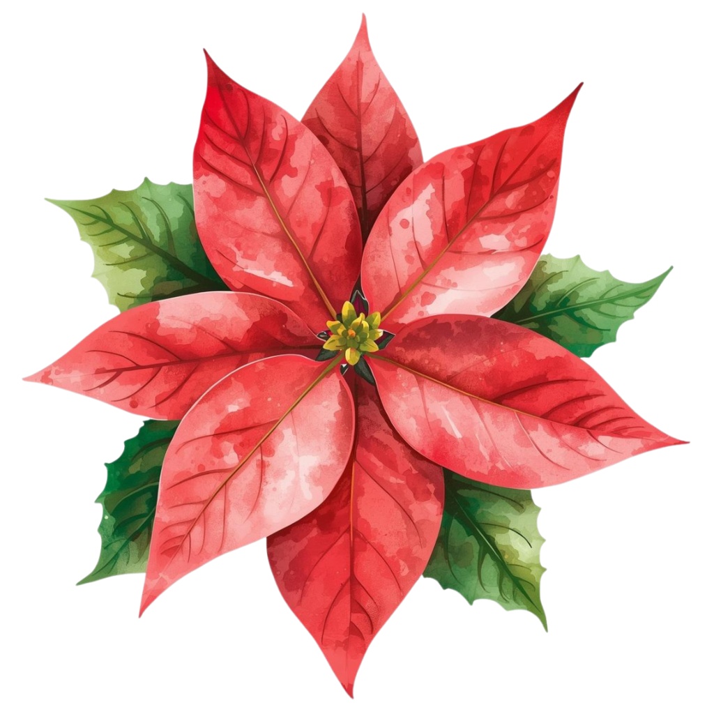 水彩画風 クリスマスフラワー クリップアート素材集(15種)|透過PNG・PDFダウンロード可 Watercolor Christmas Floral Clipart Set (15 Designs) | Transparent PNG & PDF Download