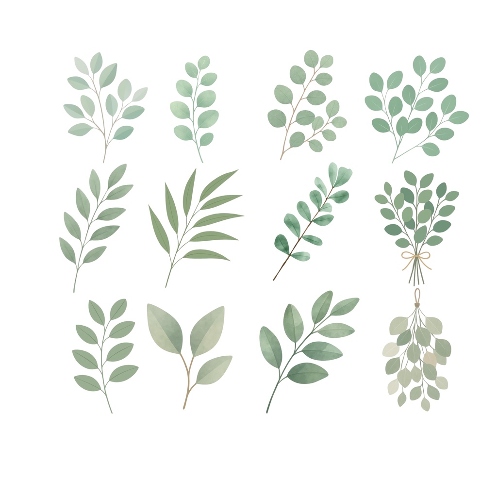 ナチュラルユーカリ水彩クリップアートセット|24点|透過PNG|Eucalyptus Clipart|Neutral Botanical