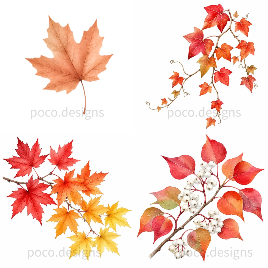 【透過PNG】秋の植物・草花の水彩イラスト素材集 23点【商用利用可】
