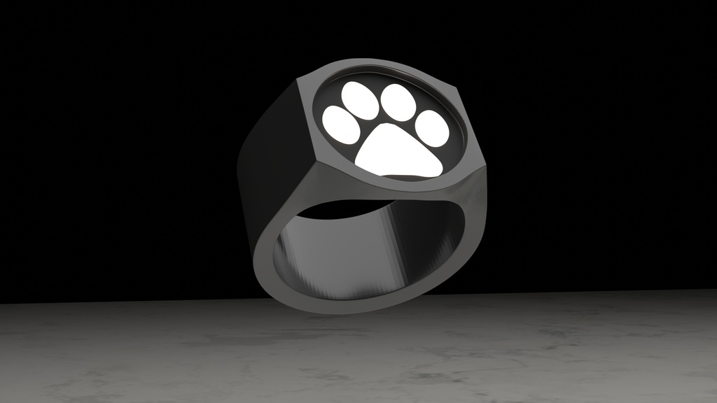 All Monarch Miraculous rings + Cat Noir Ring + Alliance Ring