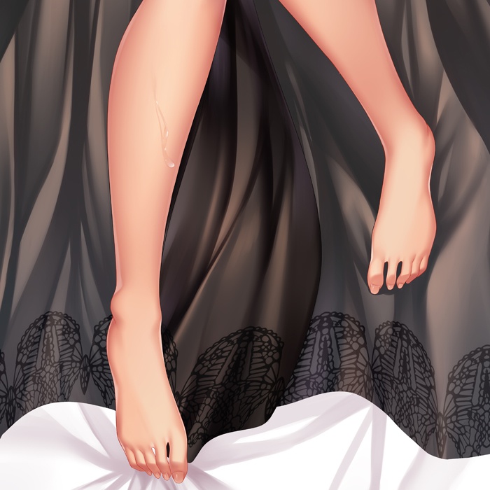 DSR-50 抱き枕カバー 全年齢Ver.