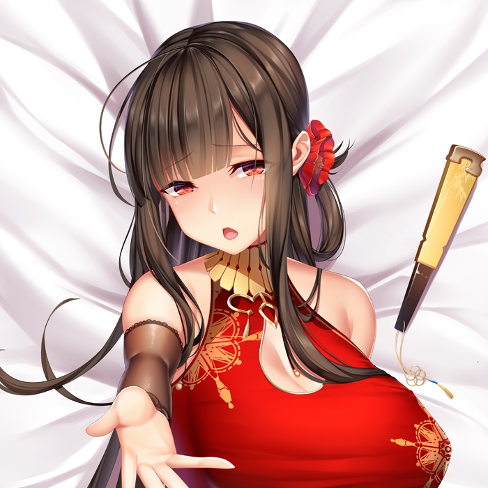 DSR-50 抱き枕カバー 全年齢Ver.