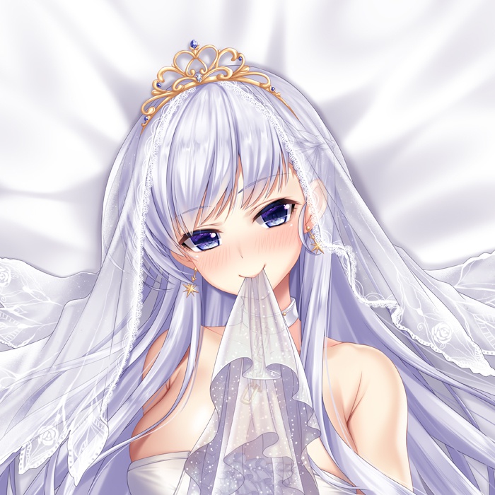 ベルファスト 抱き枕カバー 全年齢Ver. キャンペーン色紙付き