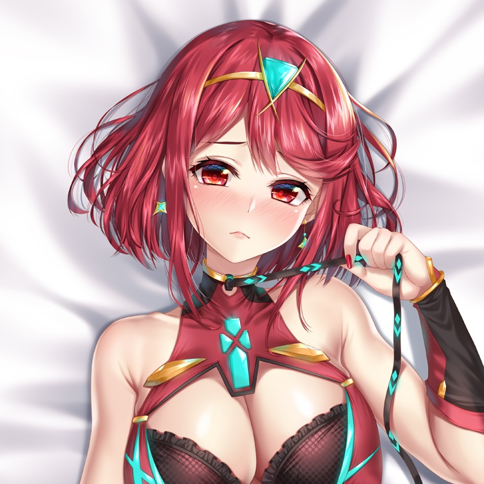 ホムラ ニア 抱き枕カバー 全年齢Ver. キャンペーン色紙付き