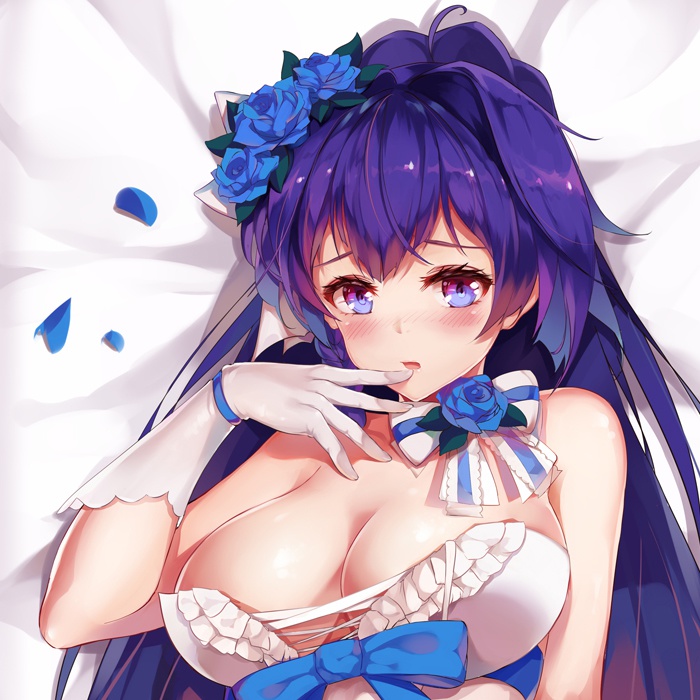 芽衣 抱き枕カバー 全年齢Ver. キャンペーン色紙付き