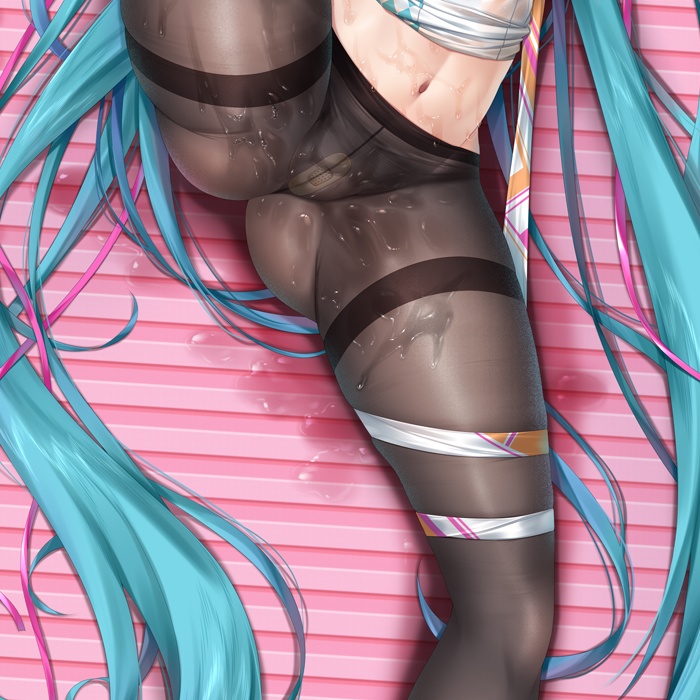 初音ミク 抱き枕カバー レーシング&体操服 全年齢Ver.