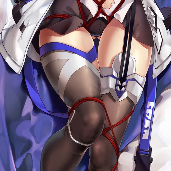 雷電芽衣 抱き枕カバー 全年齢Ver. キャンペーン色紙付き