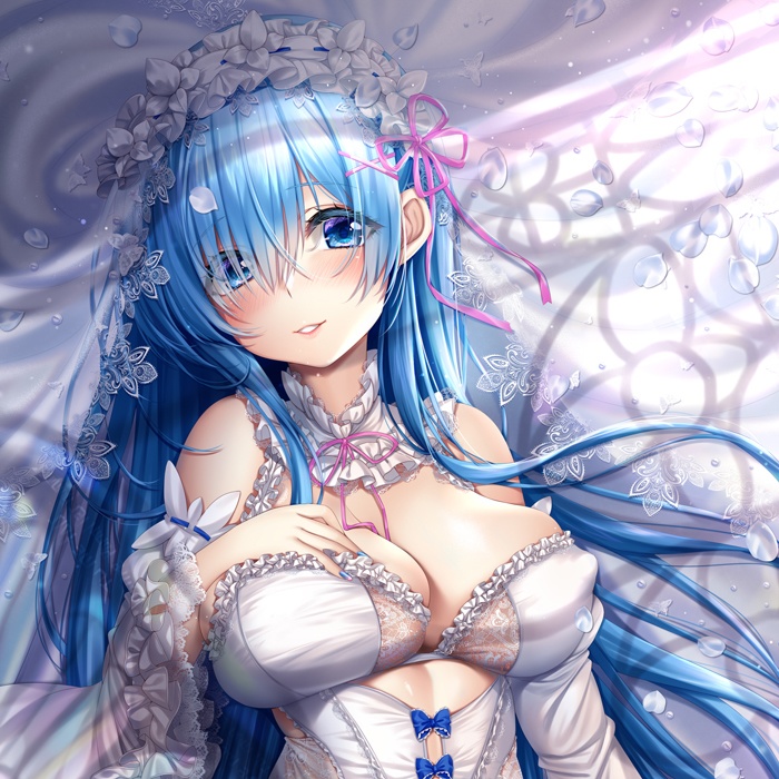 レム 抱き枕カバー 全年齢Ver.