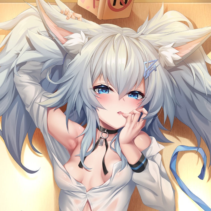 PA-15 抱き枕カバー 全年齢Ver. キャンペーン色紙付き