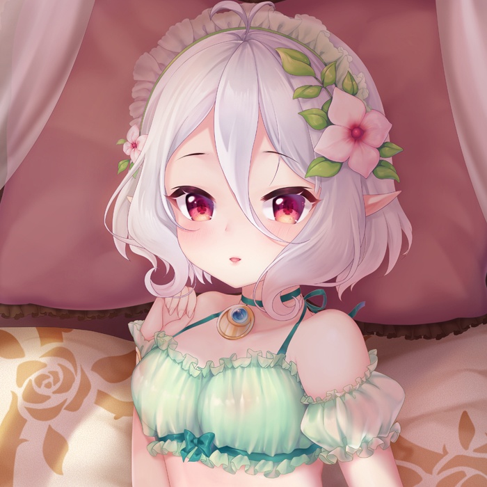 コッコロ 抱き枕カバー 全年齢Ver. キャンペーン色紙付き